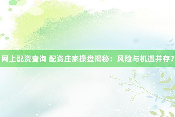 网上配资查询 配资庄家操盘揭秘：风险与机遇并存？