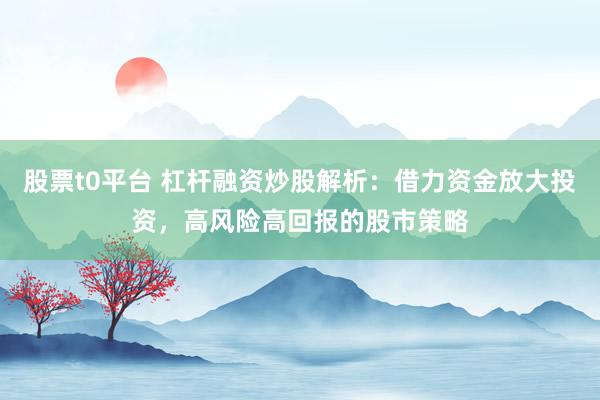 股票t0平台 杠杆融资炒股解析：借力资金放大投资，高风险高回报的股市策略