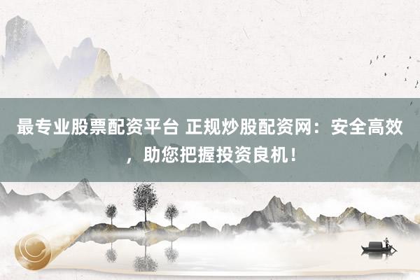 最专业股票配资平台 正规炒股配资网:安全高效,助您把握投资良机!