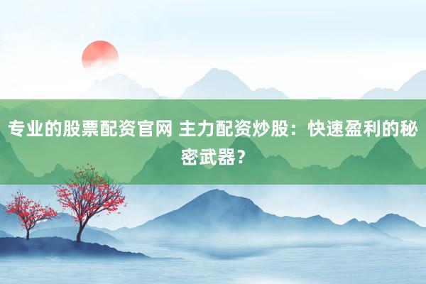 专业的股票配资官网 主力配资炒股：快速盈利的秘密武器？