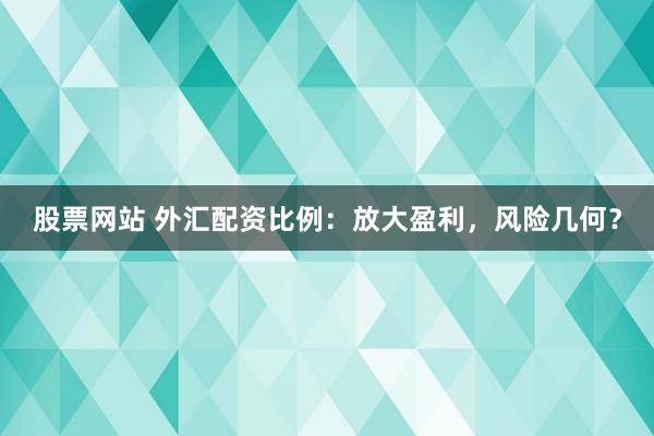 股票网站 外汇配资比例：放大盈利，风险几何？