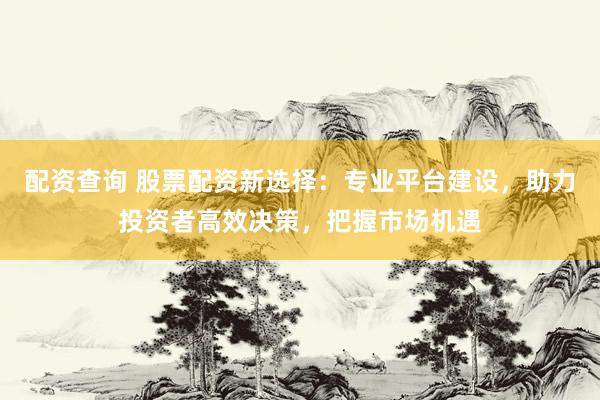 配资查询 股票配资新选择：专业平台建设，助力投资者高效决策，把握市场机遇